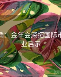 全球视角：金年会深拓国际市场的行业启示