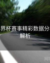 B体育世界杯赛事精彩数据分析 - 操作解析