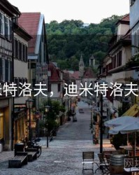 迪米特洛夫，迪米特洛夫排名