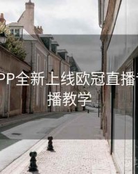 B体育APP全新上线欧冠直播专区 - 直播教学