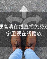 辽宁卫视高清在线直播免费观看，辽宁卫视在线播放