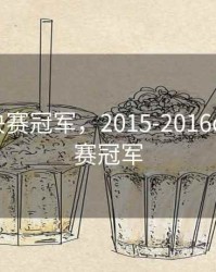 cba总决赛冠军，2015-2016cba总决赛冠军