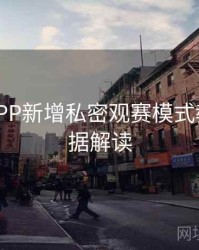 B体育APP新增私密观赛模式教程 - 数据解读