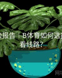 用户体验报告｜B体育如何选择最佳观看线路？