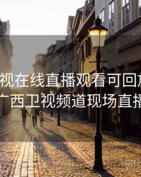 广西卫视在线直播观看可回放高清，广西卫视频道现场直播