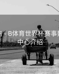 官方公告 - B体育世界杯赛事数据统计中心介绍