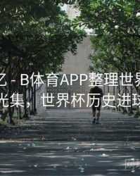 球迷记忆 - B体育APP整理世界杯历史进球高光集，世界杯历史进球数排行