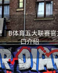 热门专题｜B体育五大联赛官方数据接口介绍