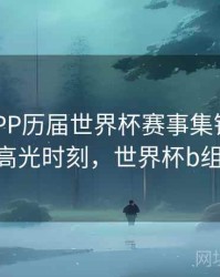 B体育APP历届世界杯赛事集锦观看指南 - 高光时刻，世界杯b组赛程