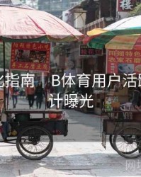 系统优化指南｜B体育用户活跃时间统计曝光