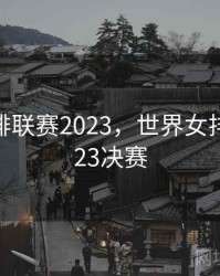 世界女排联赛2023，世界女排联赛2023决赛