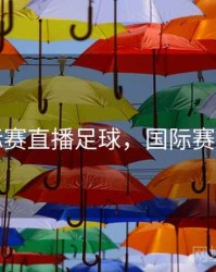 国际赛直播足球，国际赛足球