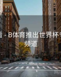 新手必看 - B体育推出世界杯专题资讯频道