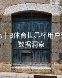 历史对比｜B体育世界杯用户活跃行为数据洞察