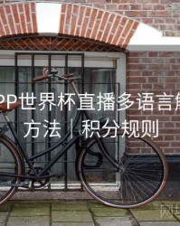 B体育APP世界杯直播多语言解说切换方法｜积分规则