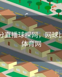 网球比分直播球探网，网球比分球探体育网