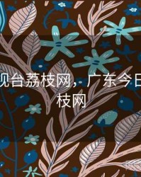 广东电视台荔枝网，广东今日关注荔枝网