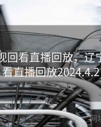 辽宁卫视回看直播回放，辽宁卫视回看直播回放2024.4.2