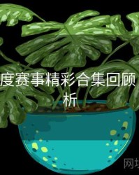 B体育年度赛事精彩合集回顾｜内容解析