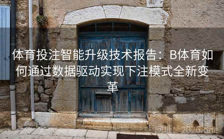 体育投注智能升级技术报告:B体育如何通过数据驱动实现下注模式全新变革 体育投注智能升级技术报告:B体育如何通过数据驱动实现下注模式全新变革