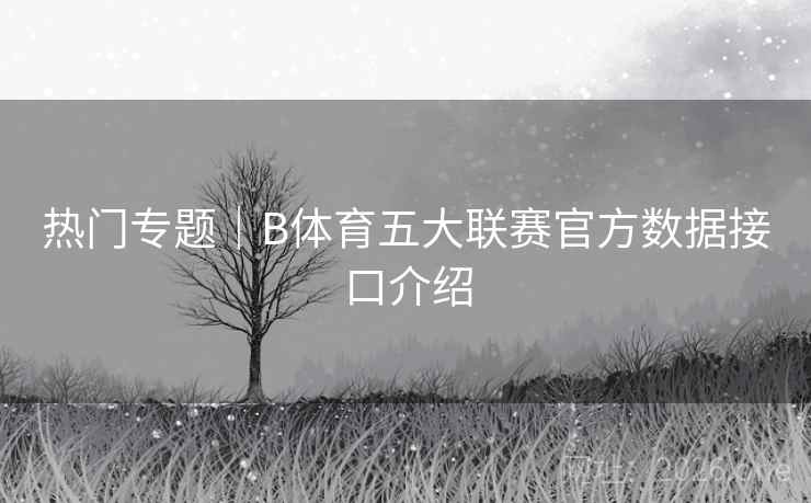热门专题｜B体育五大联赛官方数据接口介绍