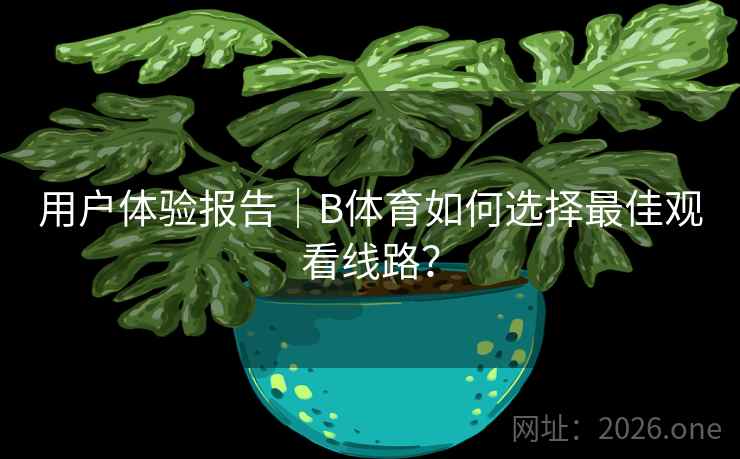 用户体验报告｜B体育如何选择最佳观看线路？