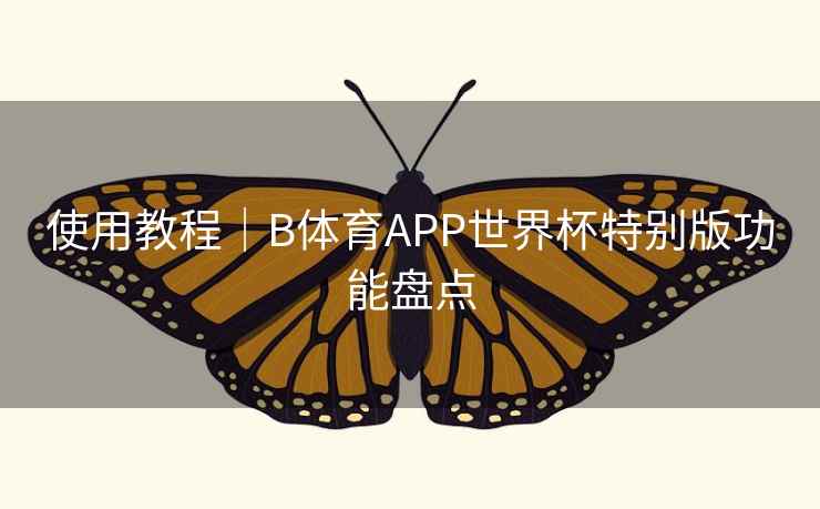 使用教程｜B体育APP世界杯特别版功能盘点