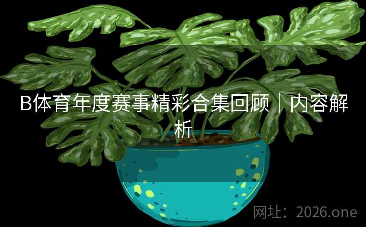 B体育年度赛事精彩合集回顾|内容解析 B体育年度赛事精彩合集回顾|内容解析