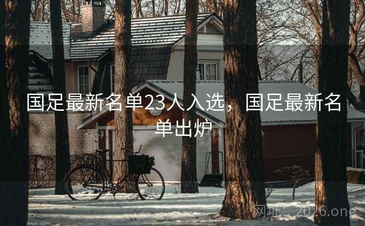 国足最新名单23人入选,国足最新名单出炉 国足最新名单23人入选,国足最新名单出炉