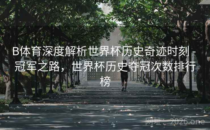 B体育深度解析世界杯历史奇迹时刻 - 冠军之路，世界杯历史夺冠次数排行榜