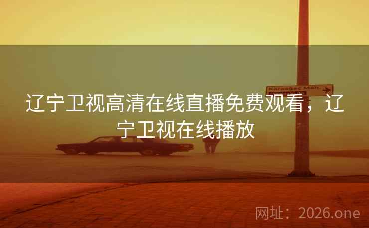 辽宁卫视高清在线直播免费观看，辽宁卫视在线播放