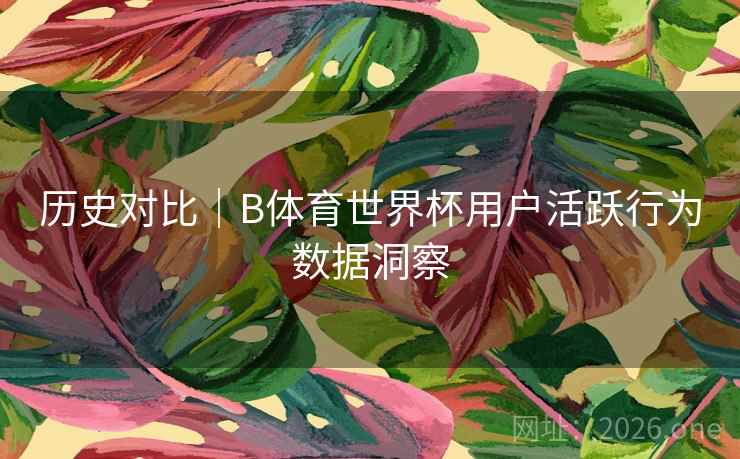 历史对比|B体育世界杯用户活跃行为数据洞察 历史对比|B体育世界杯用户活跃行为数据洞察